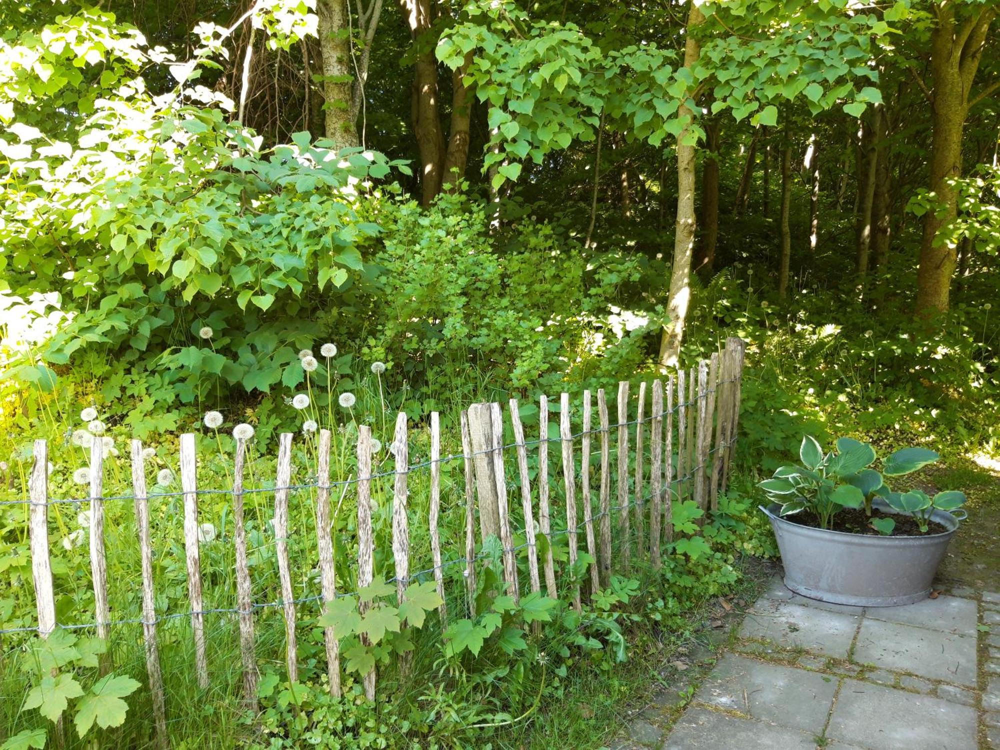 Krogsgaarden B&B Nibe Екстер'єр фото